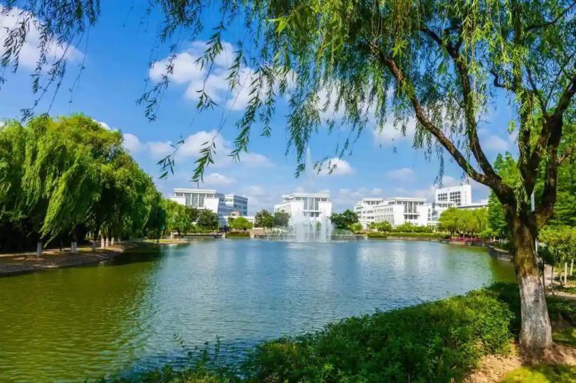 中共中央、国务院发文支持！这类人才需求迫切、就业客观，缺口达百万！