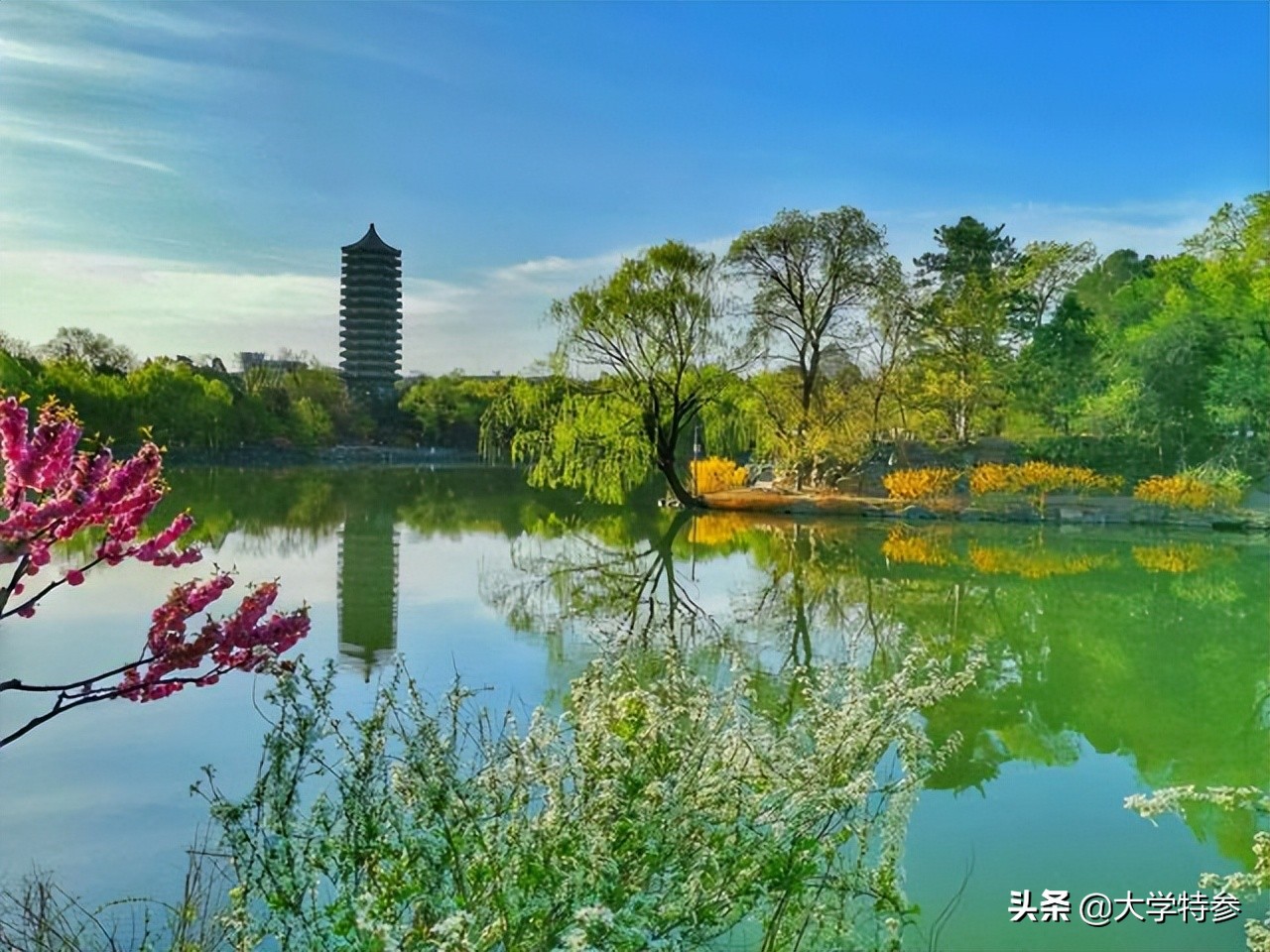 罕见！北京大学前校长郝平创造了一个记录