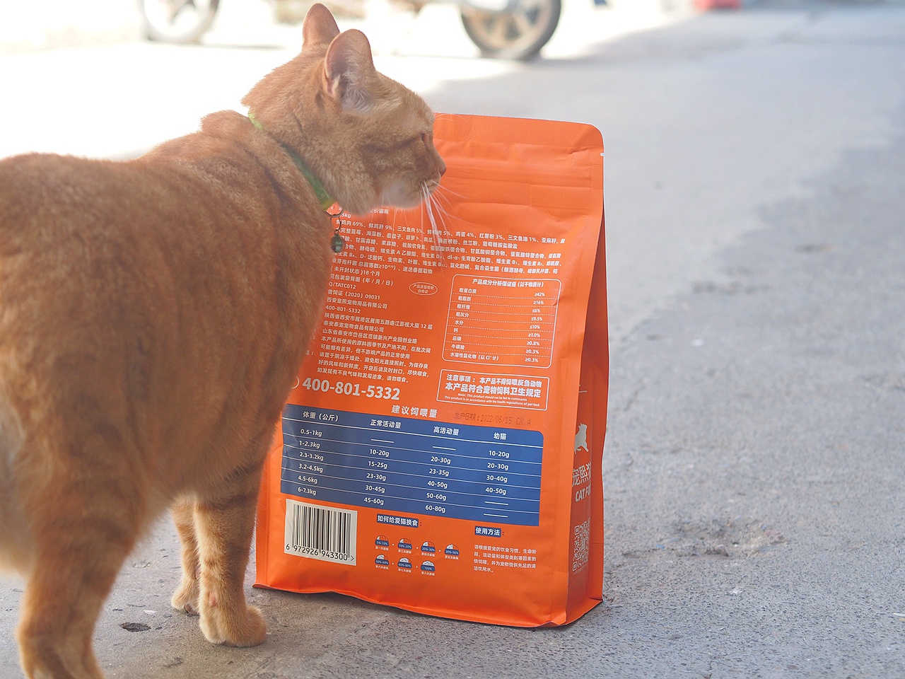 无谷鲜肉配方，宠熙猫粮毛孩子爱吃的猫粮