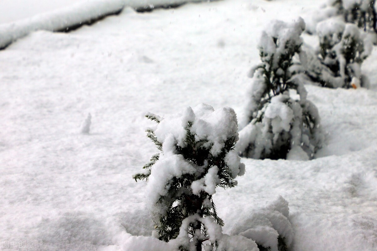 天气预报：明天是小年，25省雨雪天气，春节冷到哭，看农谚咋说？