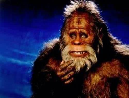 中国都有哪些地方有野人传说?野人是否存在?