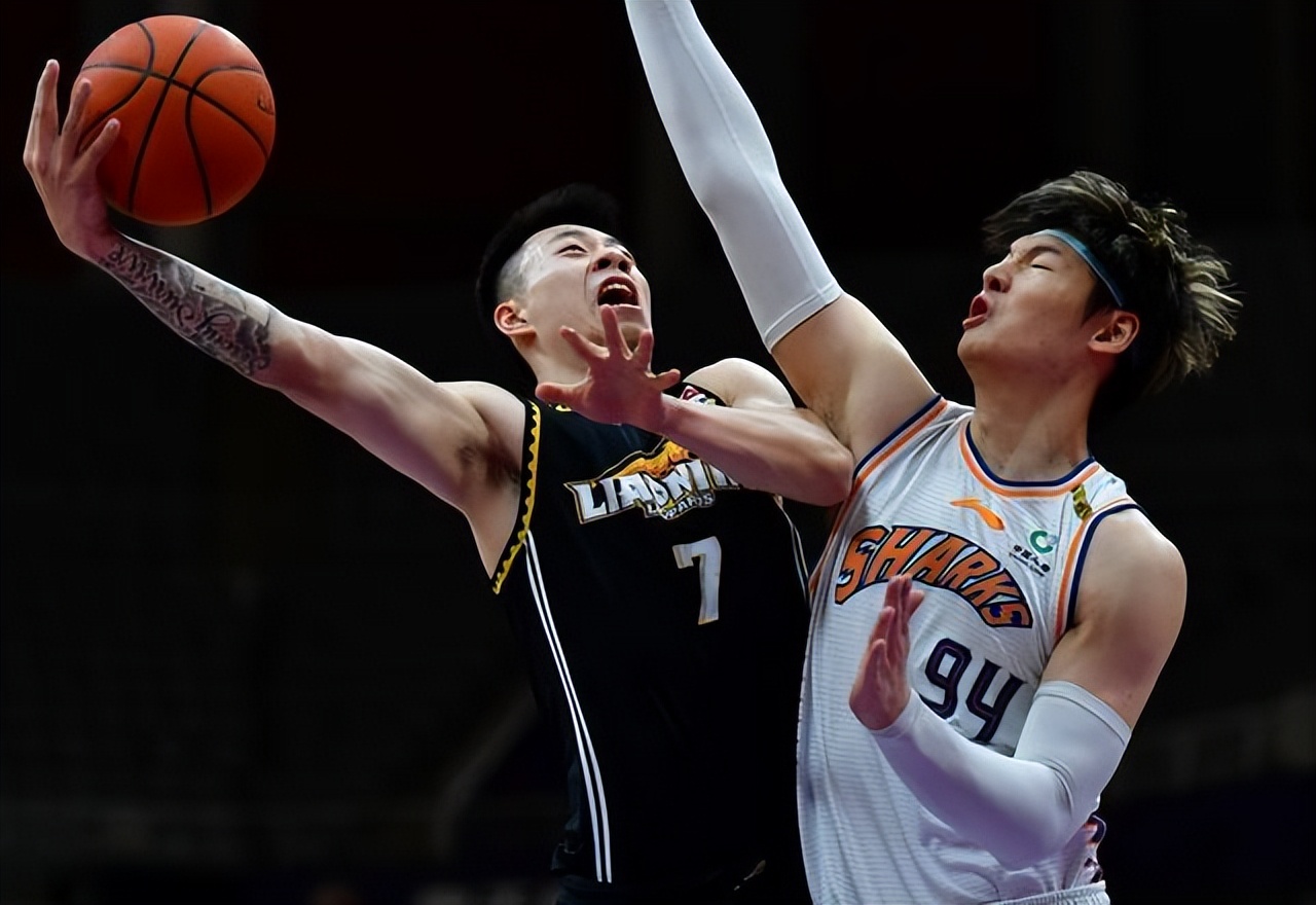 区俊炫为什么打不了nba(李洪庆谈张镇麟去NBA的前途，区俊炫进国家队，广厦放弃奥卡福)