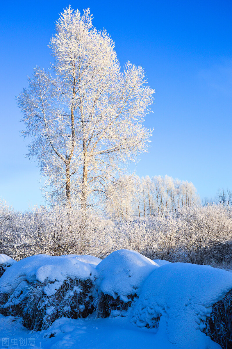 每日一词《念奴娇 过洞庭》赏析