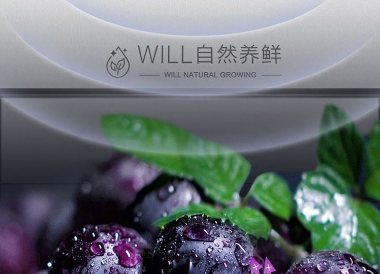 蘑菇屋来了“探鲜官”容声WILL559冰箱的养鲜新体验