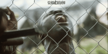 “钻石恒久远”的背后：战争、屠杀、血腥，有的是你想不到的罪恶