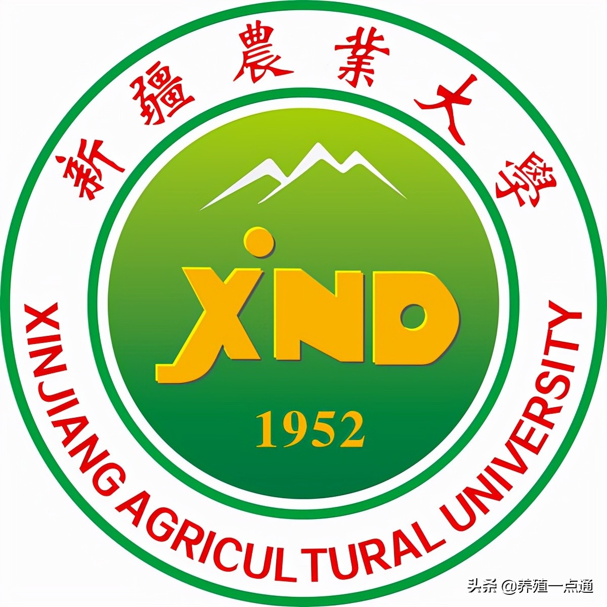 杨开伦（白族），云南大理人，新疆农业大学动科院长，牛羊专家