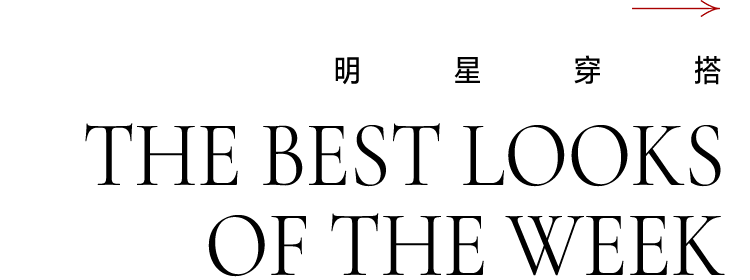 张俪的骑行手记，《梦华录》同款古风“生活手册”