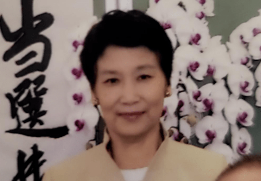 真理子(一个二婚女，竟嫁给日本首相，清洁工阿姨的逆袭人生)