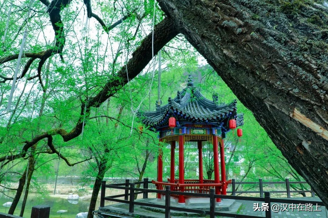華陽春來早，清明小長假漢中華陽景區(qū)「春游攻略」快收藏