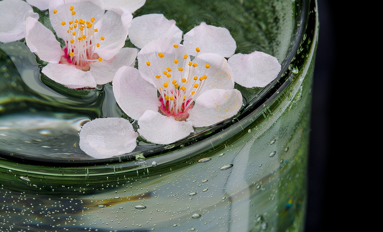 写给春天：“心中有花开，不负好春光”