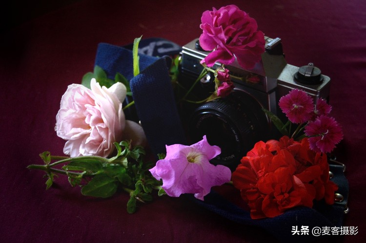 靜物攝影：提升拍攝水平的方法 5 個(gè)技巧
