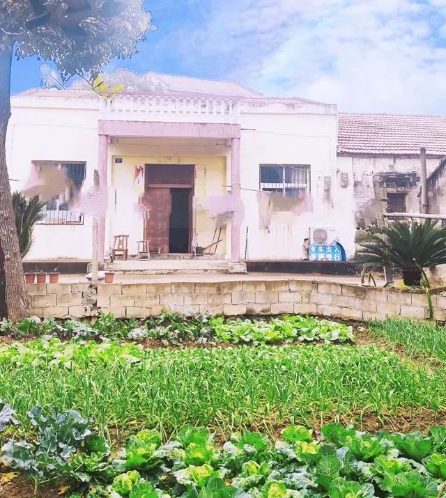 “光棍”爹爹（下）