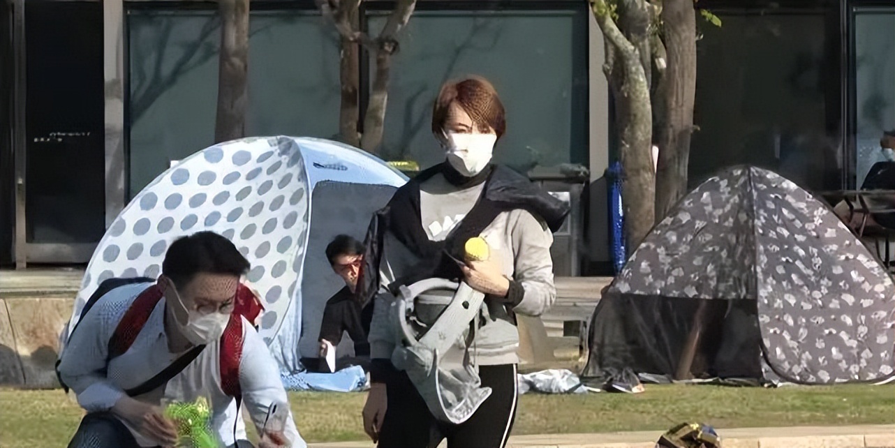 曾是TVB当家小花旦的陈文媛，退圈后的生活状况如何？