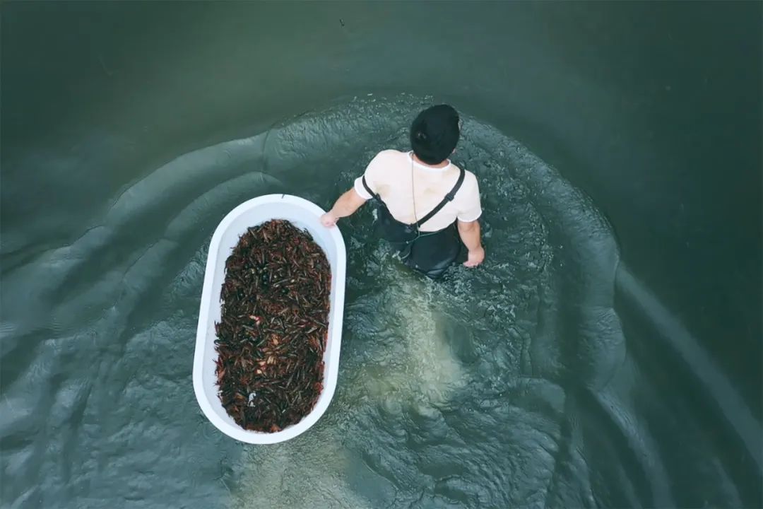 徐霞客在此住了54天，这里是四季花期永不过时的南宁“后花园”……