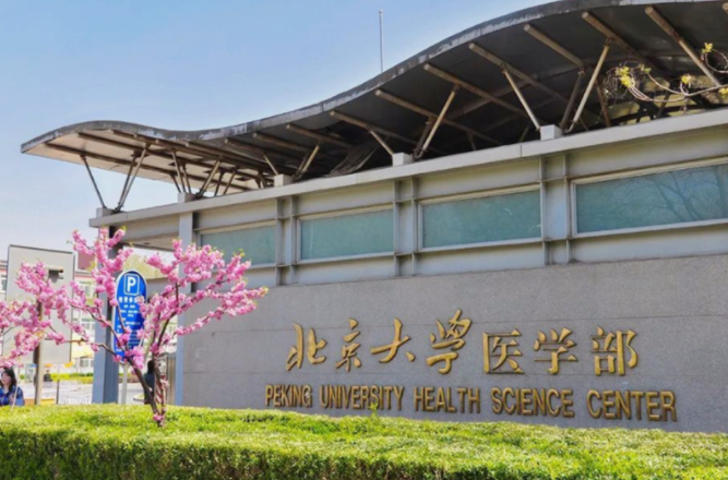 临床医学金字塔排名已更新，上交大稳坐头把交椅，同济位居第五档