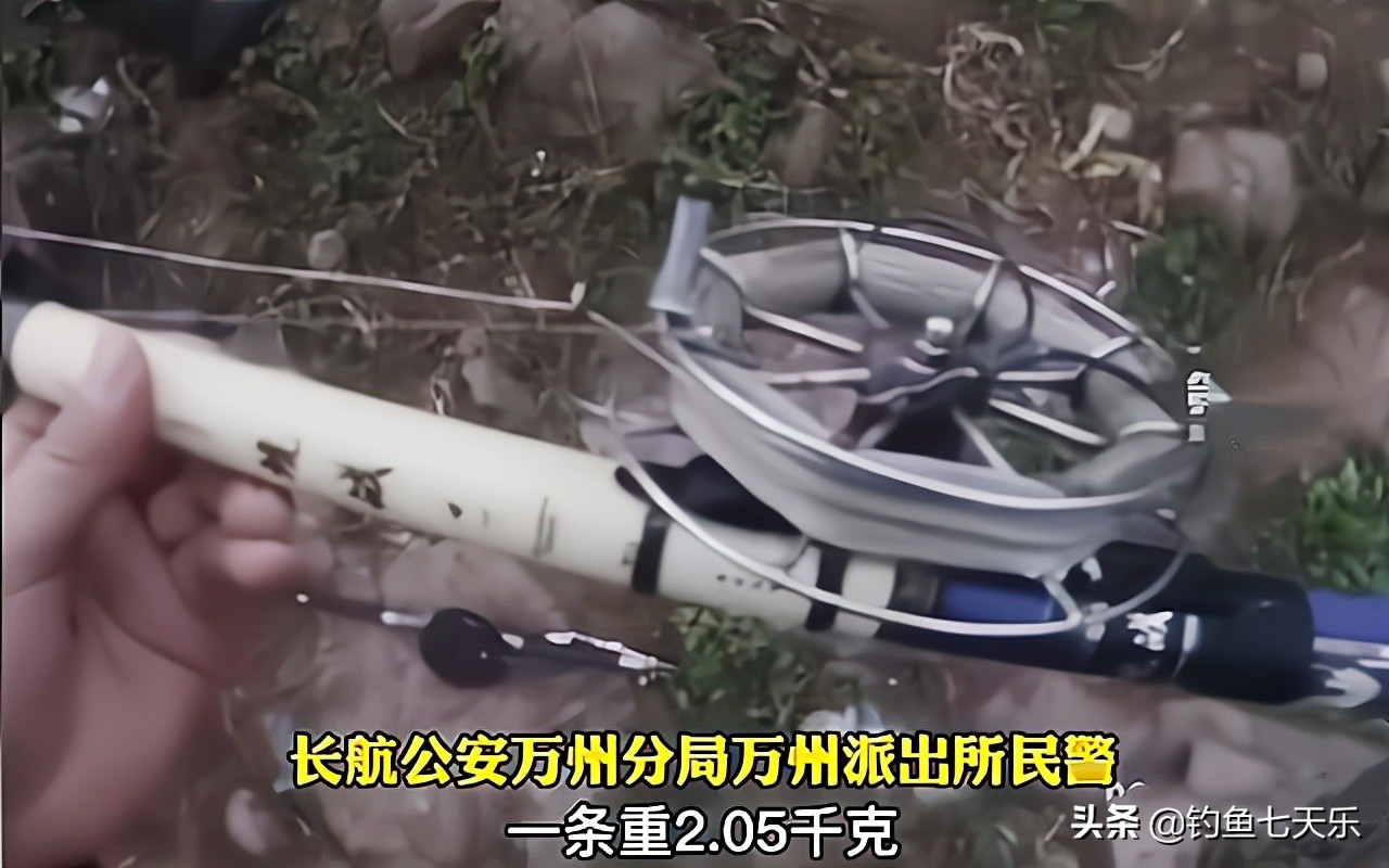 重庆两名男子违规垂钓被抓！是否构成“非法捕捞”，专家这样说