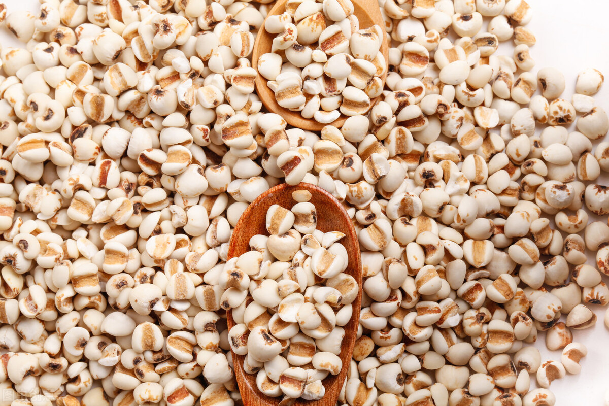 草珠子几乎圆形,中间空的,用针可以轻易穿透,果实外