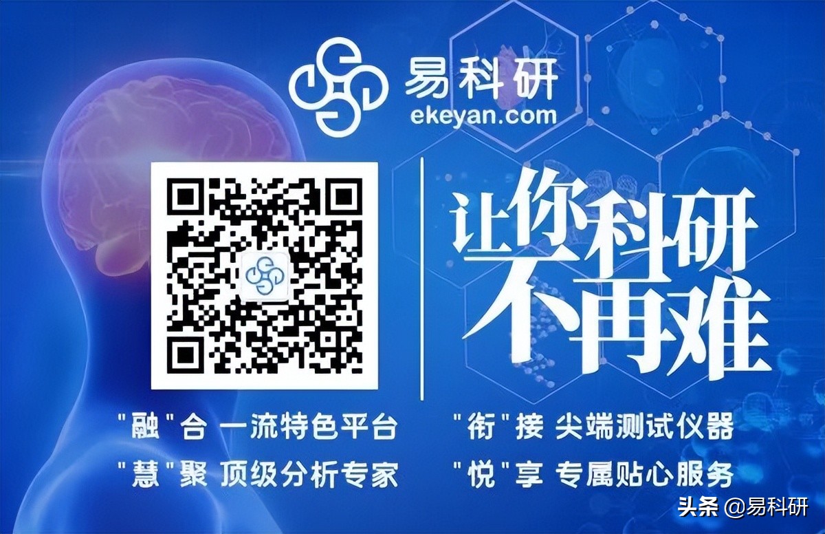 ACS Catal. | 其利断金—Cu - Pd双金属催化剂助力CO电还原