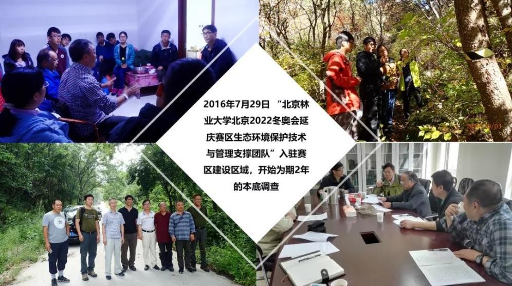 支撑冬奥会顺利申办、承担景观设计！北京林业大学频频发力、动作不断！