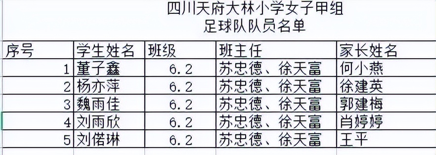 大林小学参加2022年第二届“天府杯”校园足球总决赛取得优异成绩