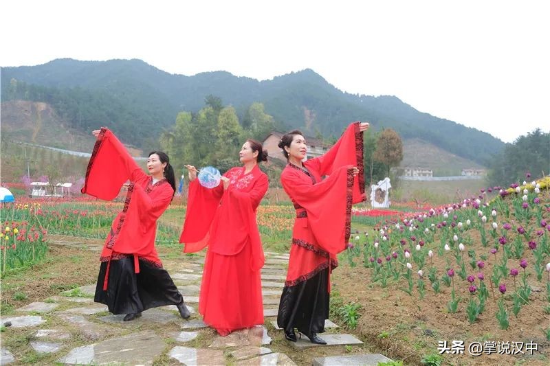 漢中南湖景區(qū)郁金香花開正艷 花海+漢服 4月2日一場視覺盛宴來襲