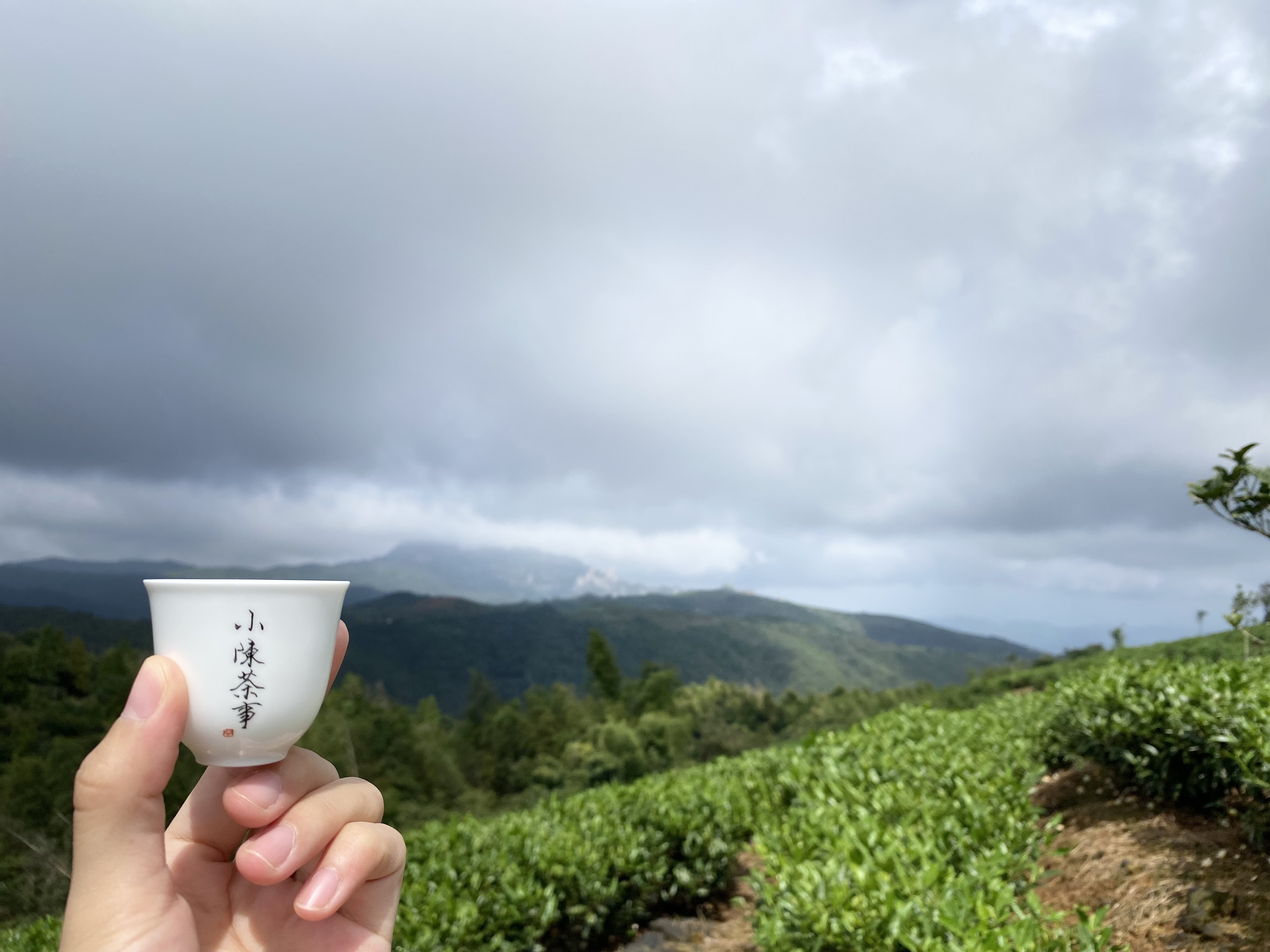 茶具清洁剂哪些好 (清洗茶具好用排行)