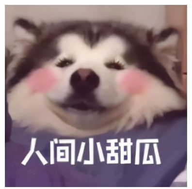 职业资格鉴定,