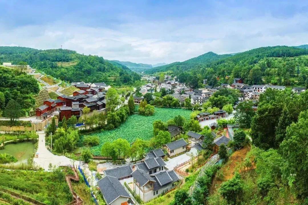 贵阳春到乌当陇脚村一起收获绿意