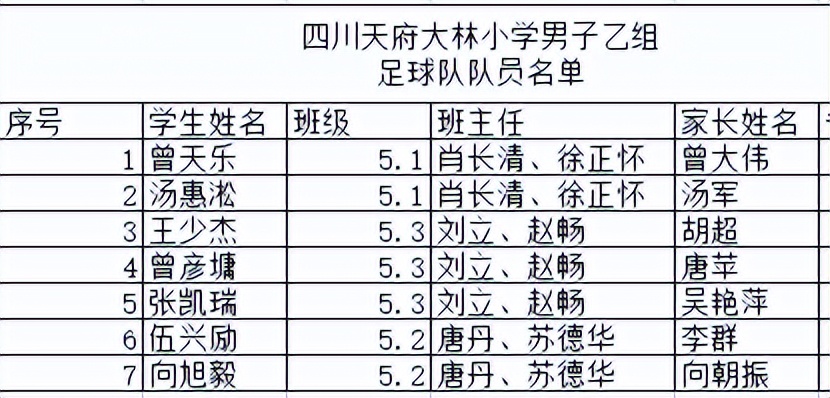 大林小学参加2022年第二届“天府杯”校园足球总决赛取得优异成绩