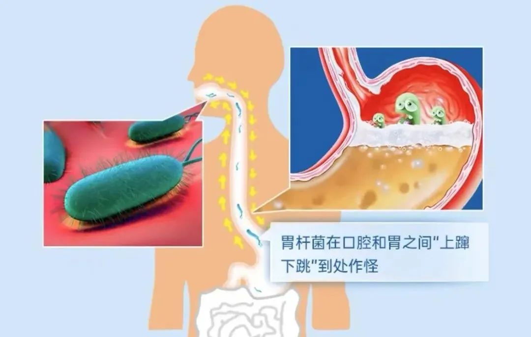 年销售额暴增100%，热爱养生的年轻人，撬动了千亿蓝海赛道