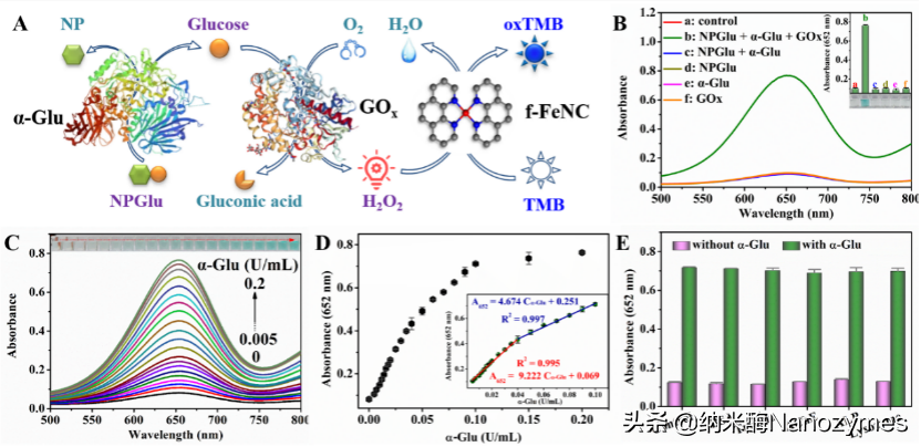 Anal. Chem. | 基于金属-氮-碳纳米酶构建多酶级联反应传感平台