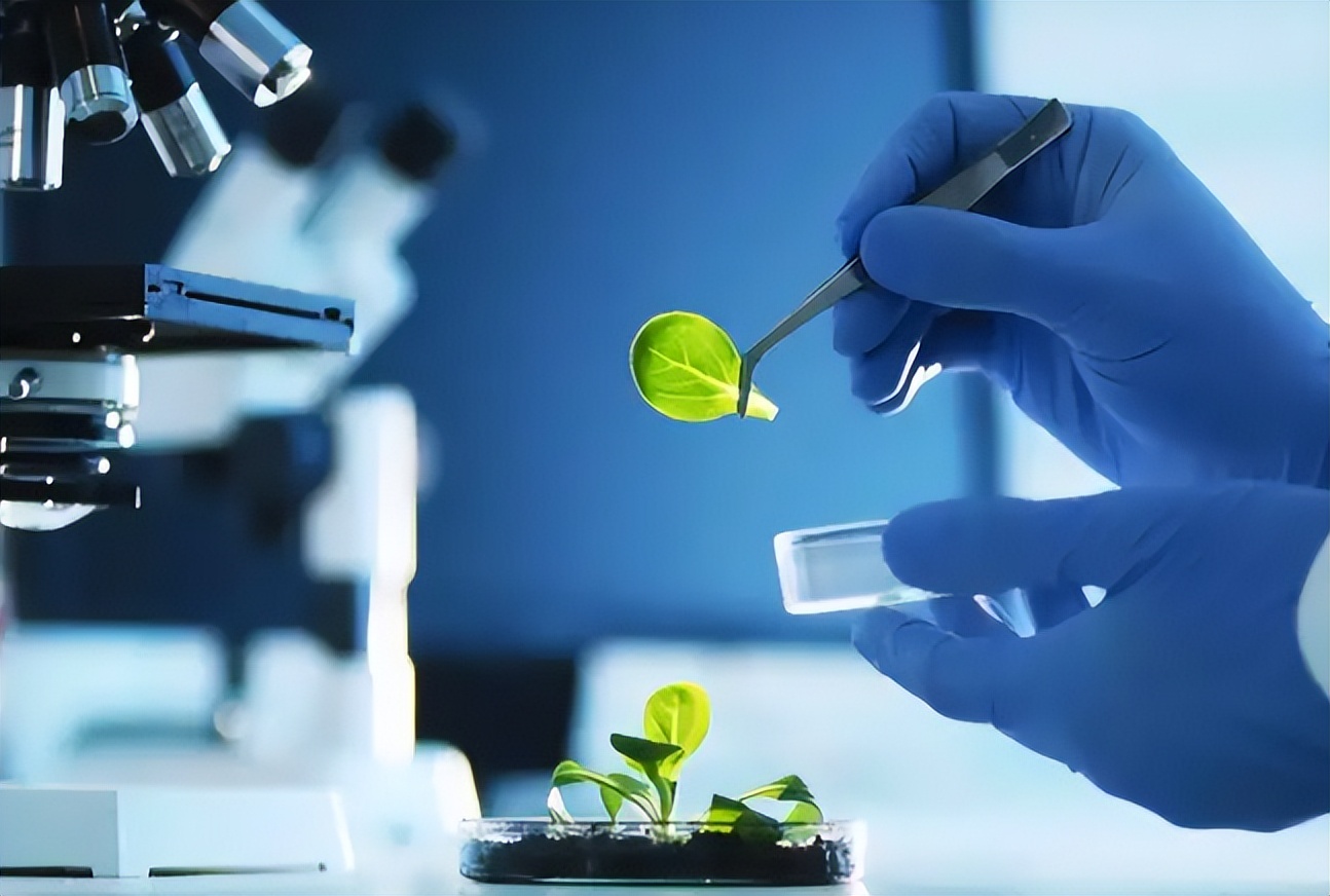 国内不好就业的3个专业，出国留学后身价倍增，2022届考生要注意