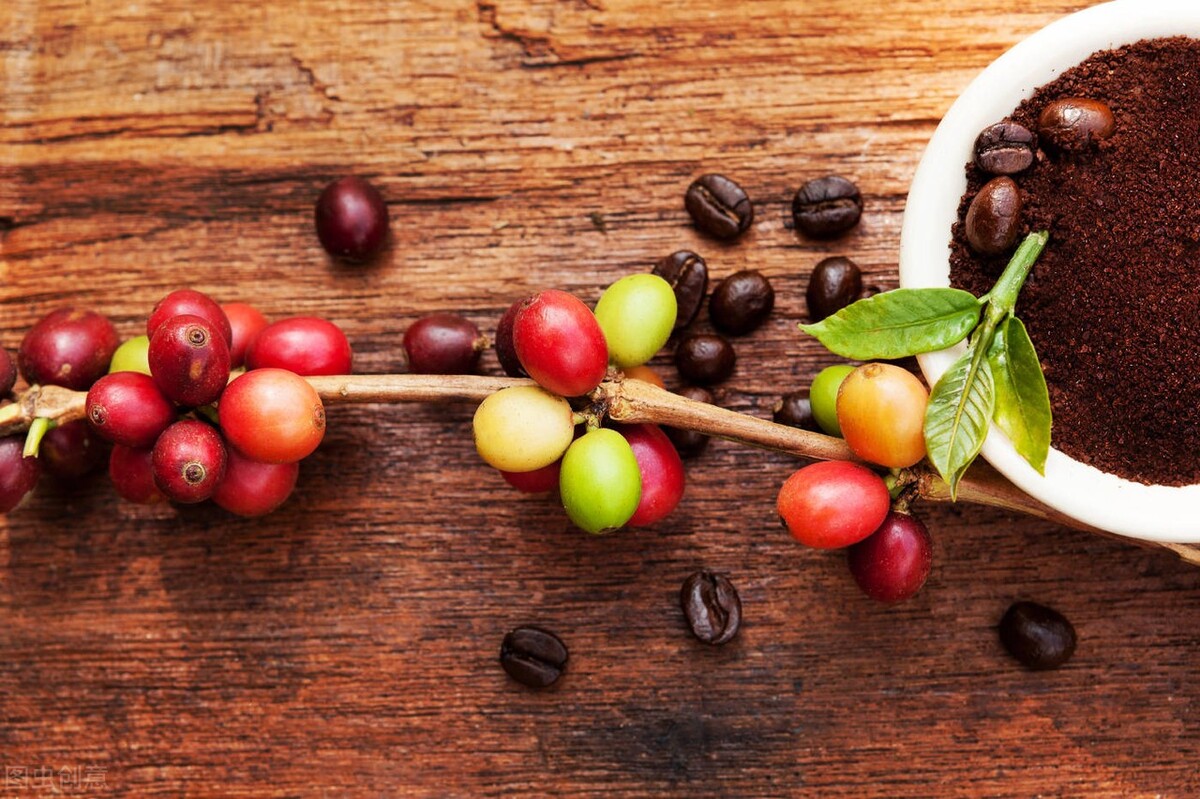 给法官大人的一封信