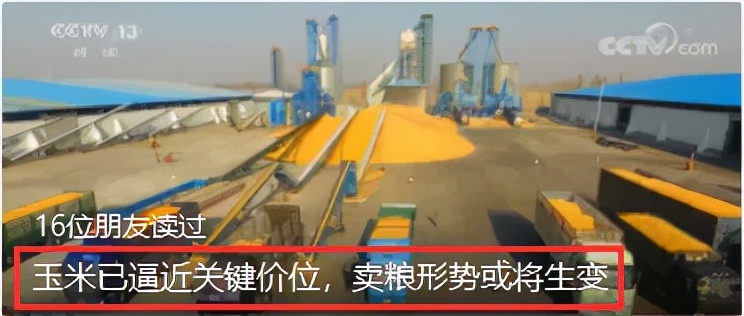 不好！东北玉米出现下跌
