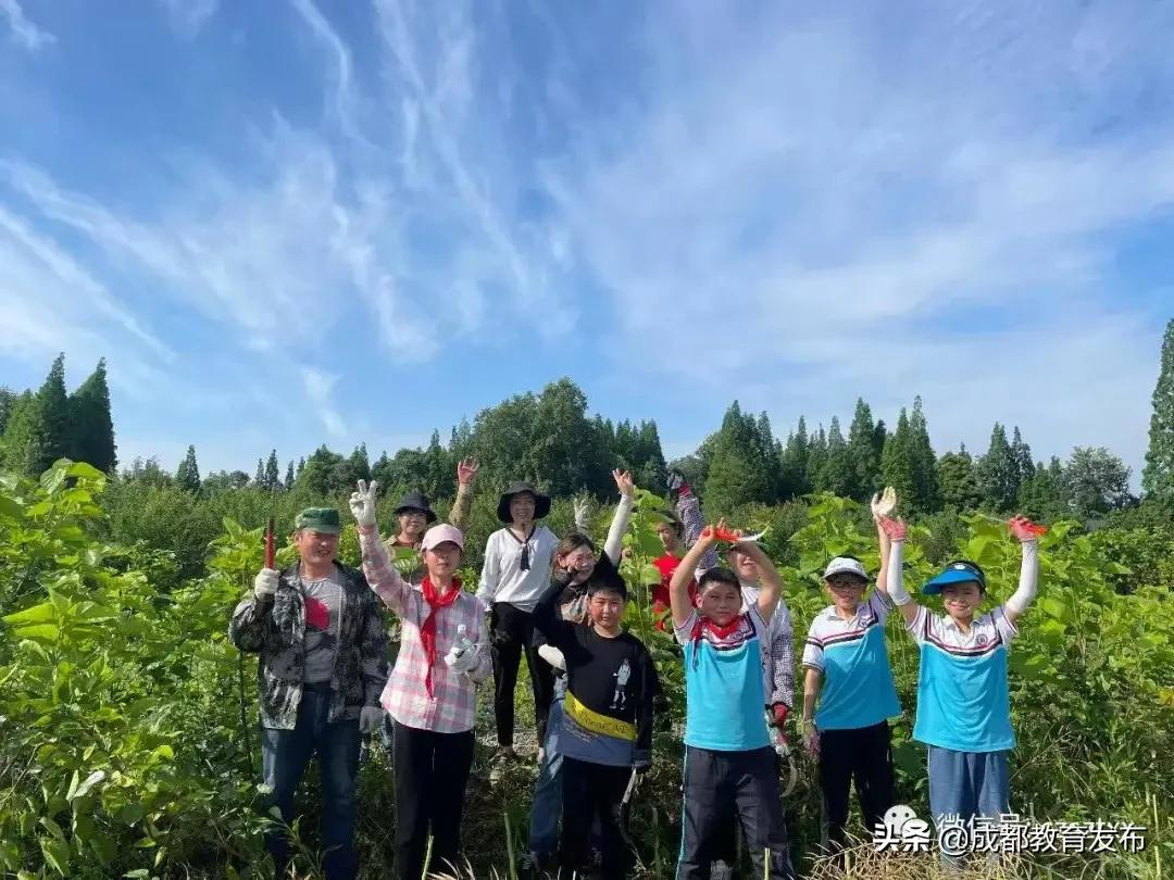 成都又获教育部点赞！这次是为啥？