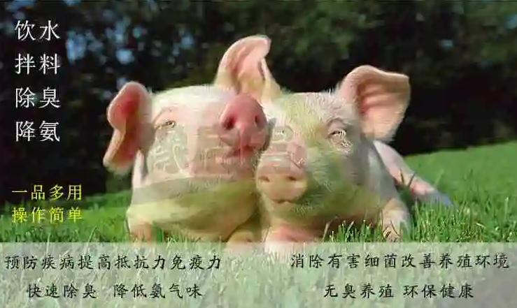 EM菌用途广泛，自己动手制作EM菌液，每公斤原液成本仅几毛钱