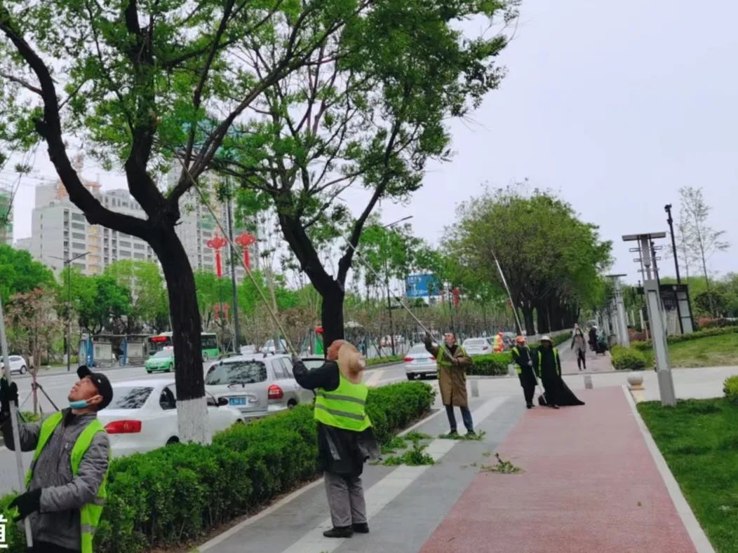 Ĩѿ��ժ�� ��������̻���ľ���塰������