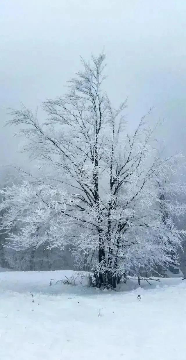 扫雪心心追望客，低头数数近归程