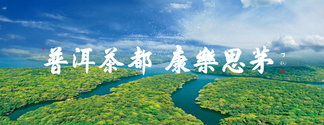 有机茶点亮乡村振兴路——南屏镇整碗村&祖祥茶业&云南农大携手乡村振兴项目签约
