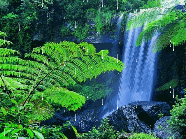 大学生就业论文2000字（2022高考押题）