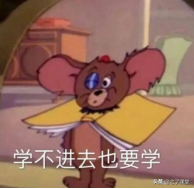 初级会计零基础入门：会计干货 | 增值税的征税对象