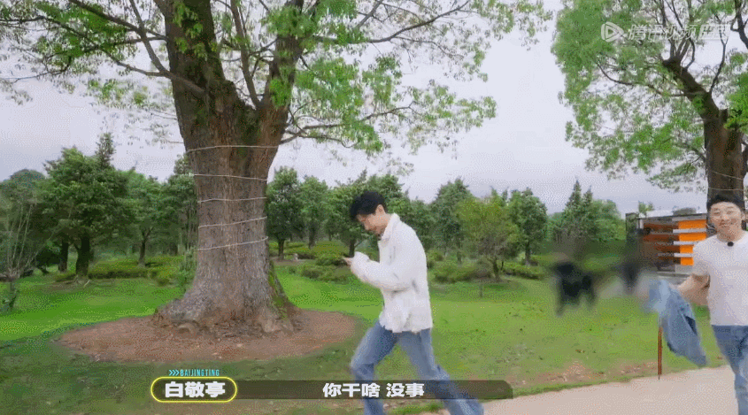 新晋榜一国综，节目费嘉宾观众费脑子