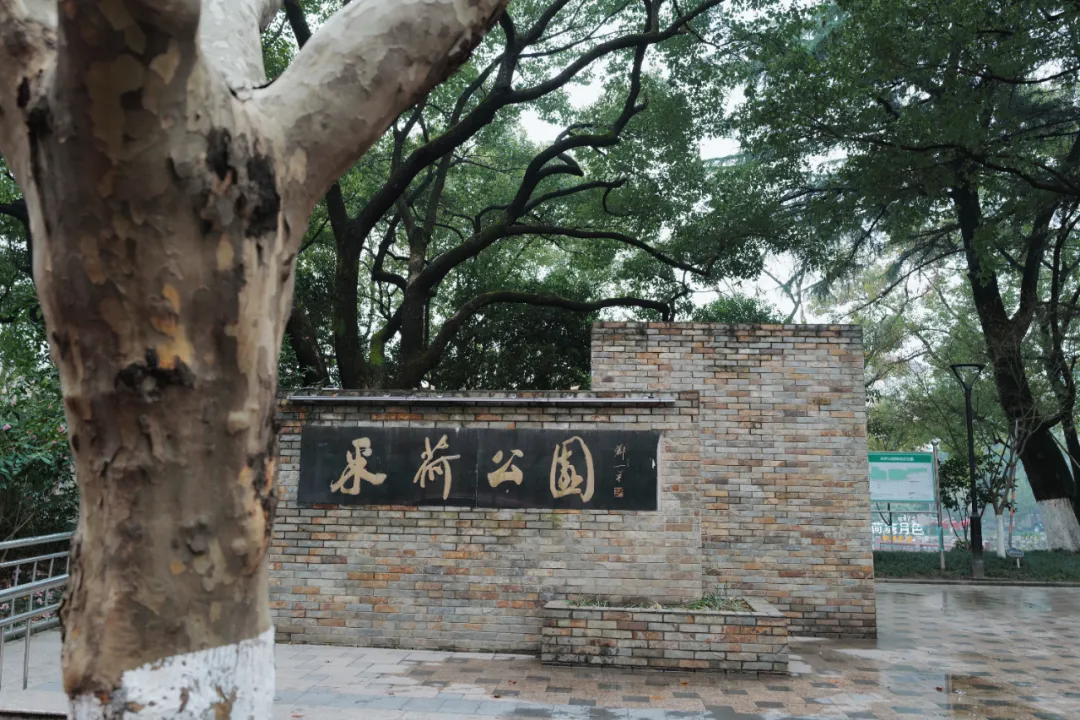 没想到有一天,在菜场被馋哭