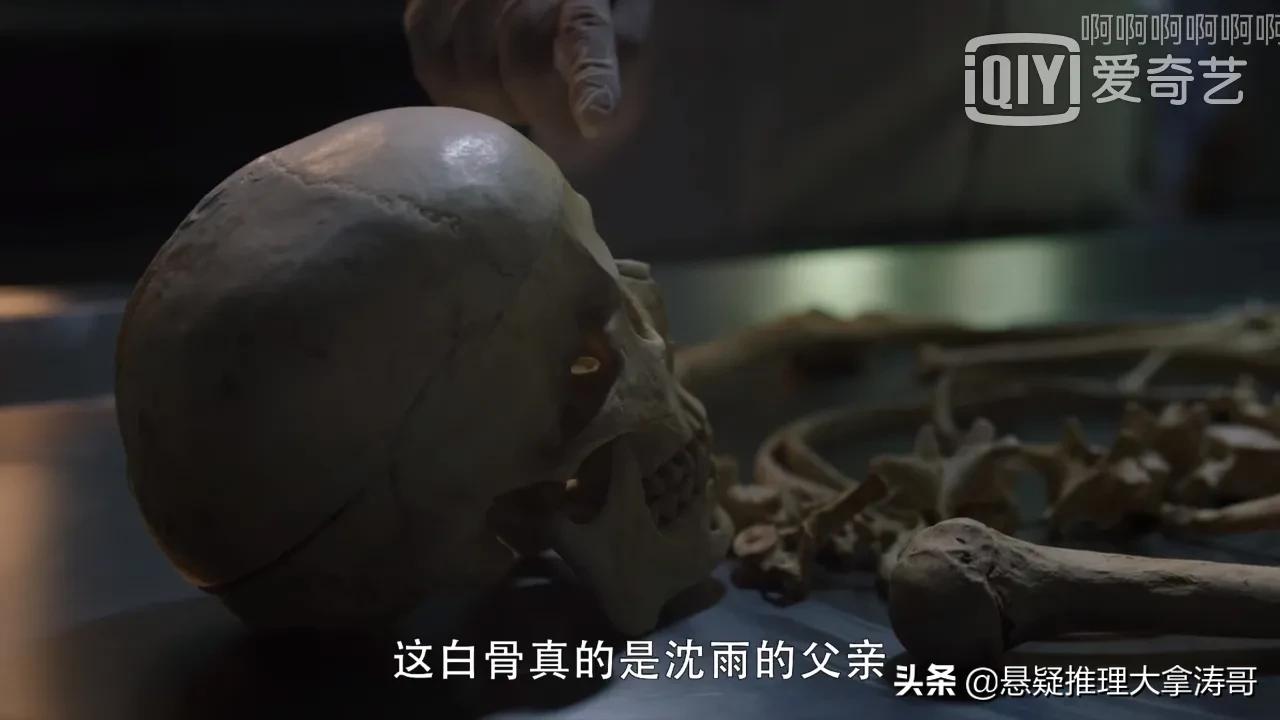 《谁是凶手》海舟案的三个重大突破口：安定医院，精通摄影，沈海洋遗骸