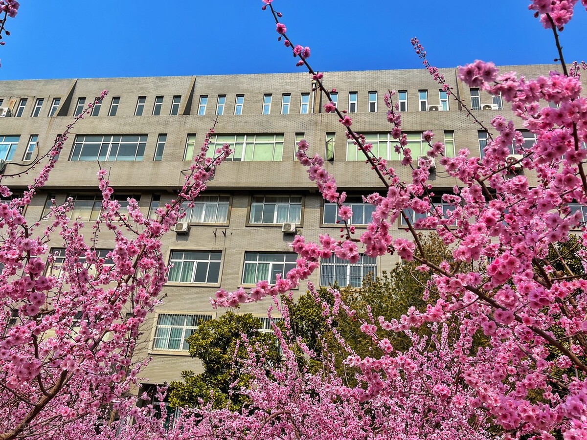 综合评价招生有多“豪”，最高降72分录取，你都知道哪些准备工作