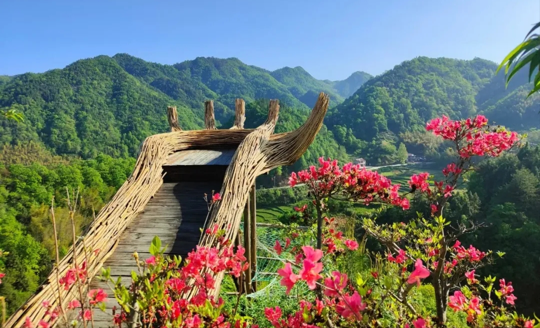 乡居 | 一起来一场远离尘市的乡野生活体验吧......