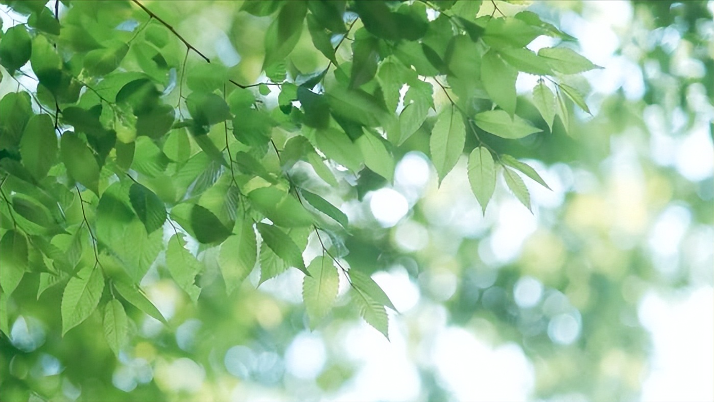 10首宋代七言绝句中的初夏：晴日暖风生麦气，绿阴幽草胜花时