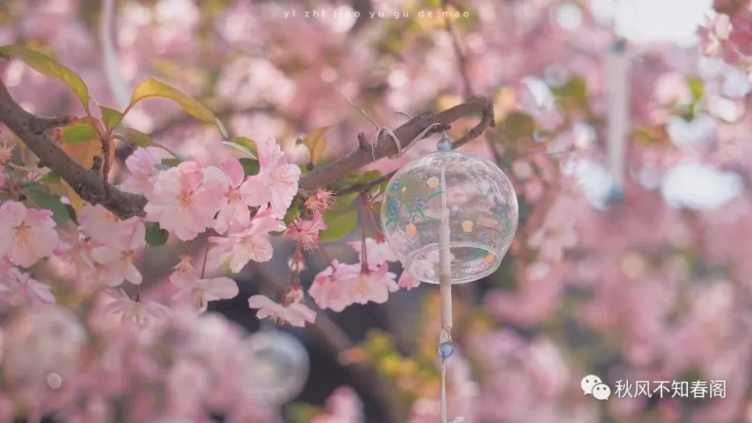 二月二花朝节林妹妹的生日，愿你不负花时不负良辰赴春日花开盛宴