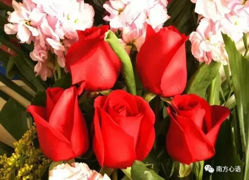 花若盛开，蝶自飞来，人若精彩，幸福开怀