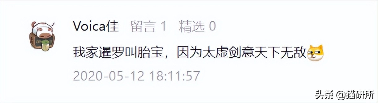 爆肝统计5000个猫名，让所有人都笑死在这些沙雕名字里